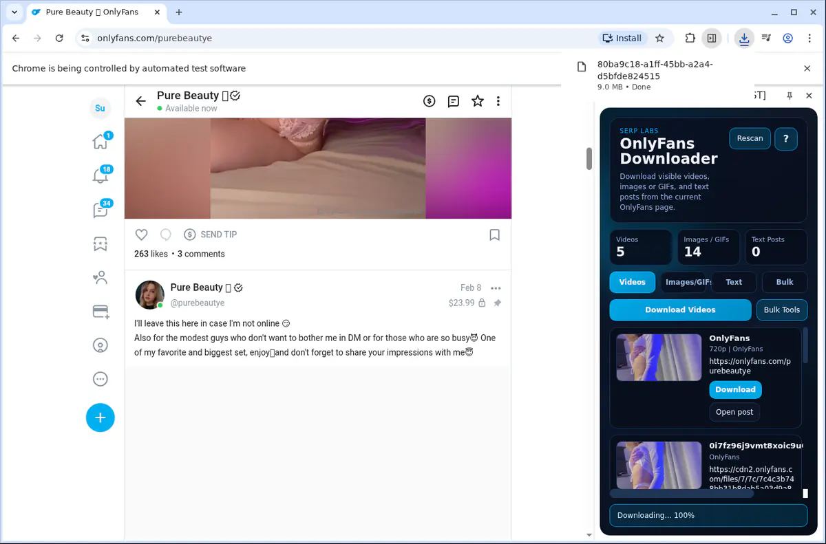 OnlyFans Video Downloader browser extension screenshot 8