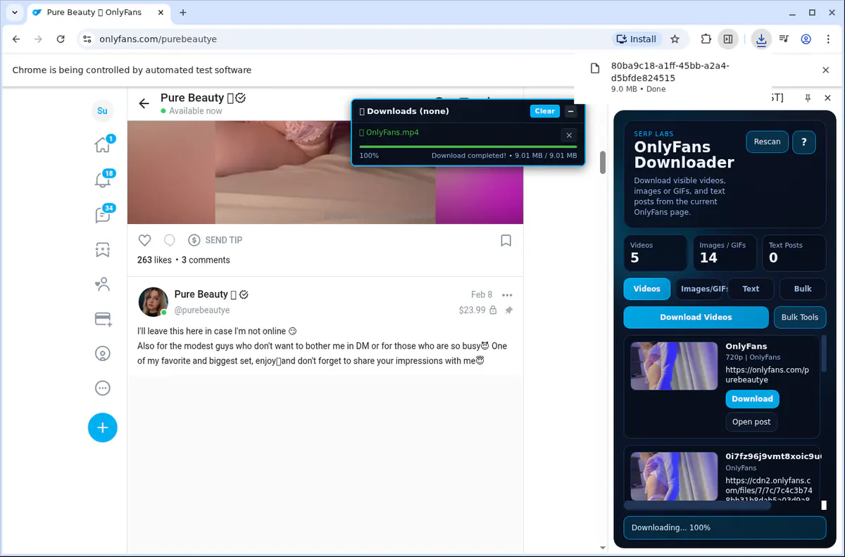 OnlyFans Video Downloader browser extension screenshot 9