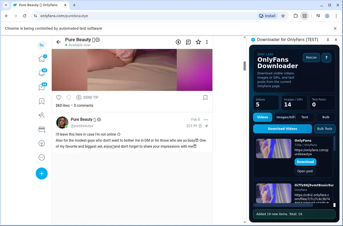 OnlyFans Video Downloader browser extension screenshot 10
